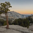 Dome at Dawn