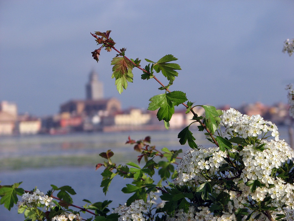 Domenica 13 Ottobre 2013