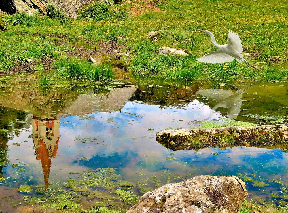 Domenica allo stagno