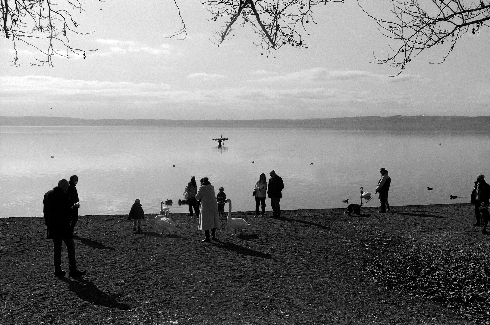 Domenica sul lago