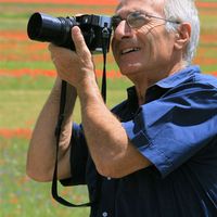 Domenico Riga