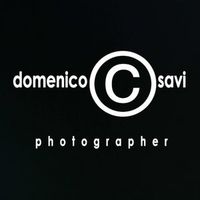 domenicosavi