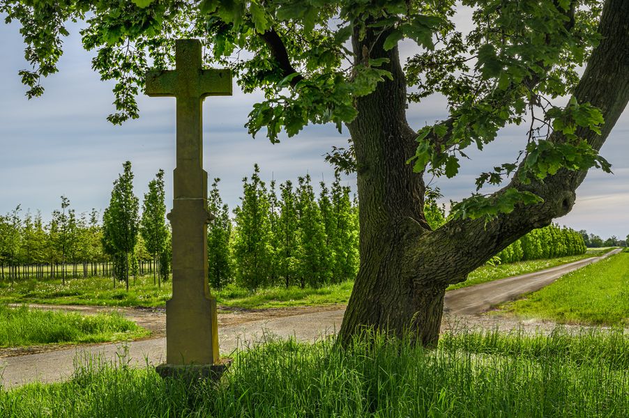 Dominant Grün mit Kreuz an Kreuzung ...