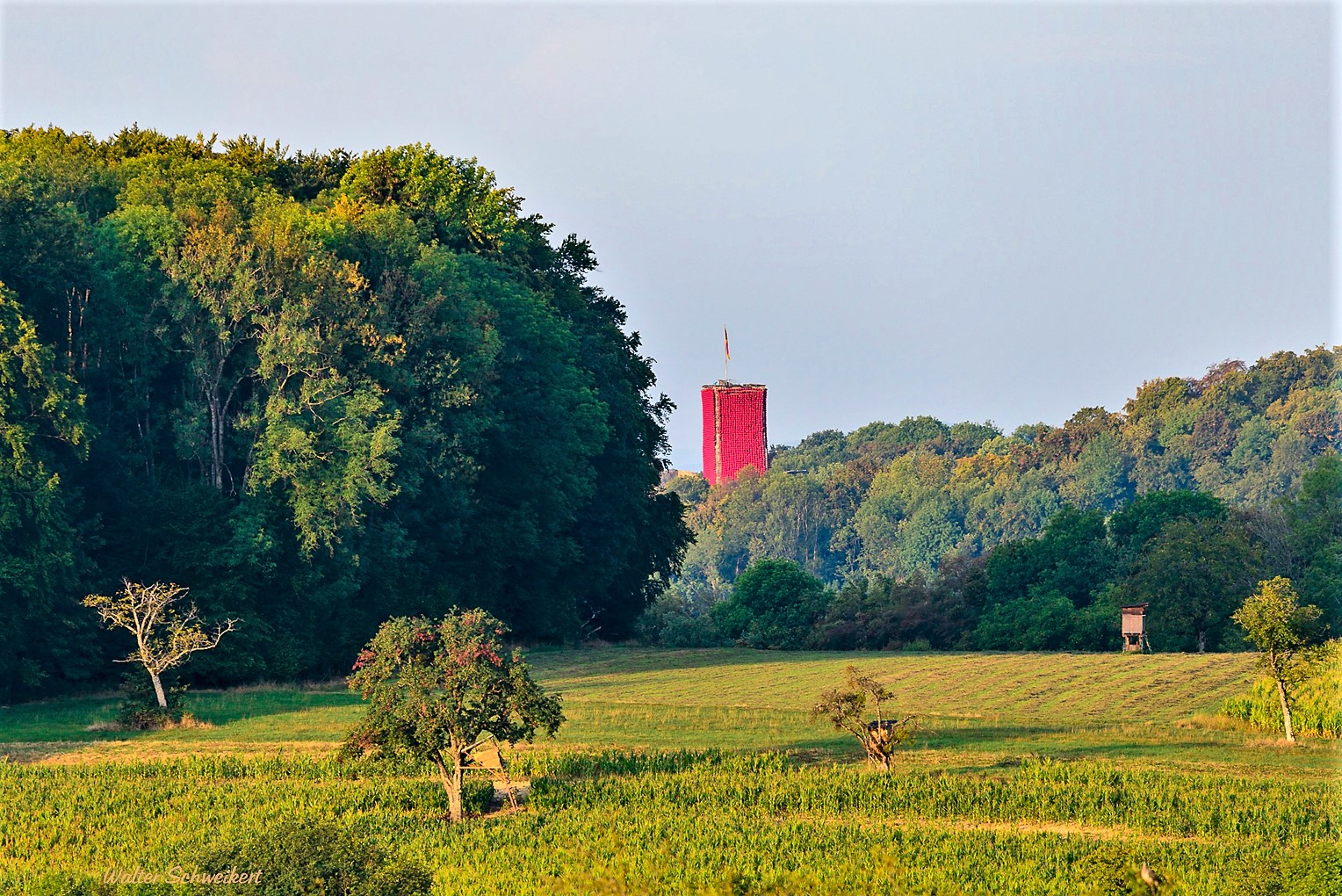 Dominante Farbe in der Natur 