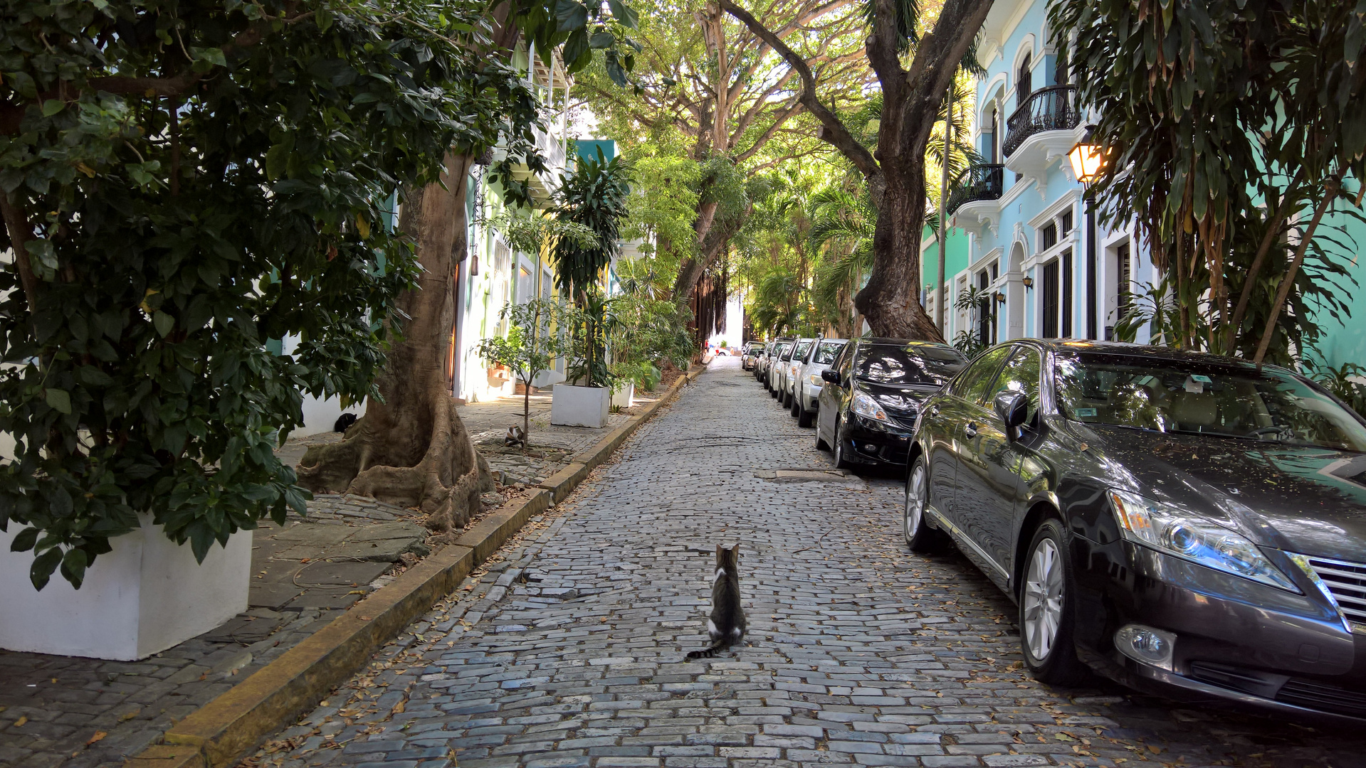 Frauen suchen männer san juan puerto rico