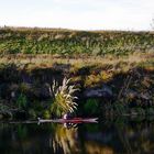 DOMINGO EN EL RIO