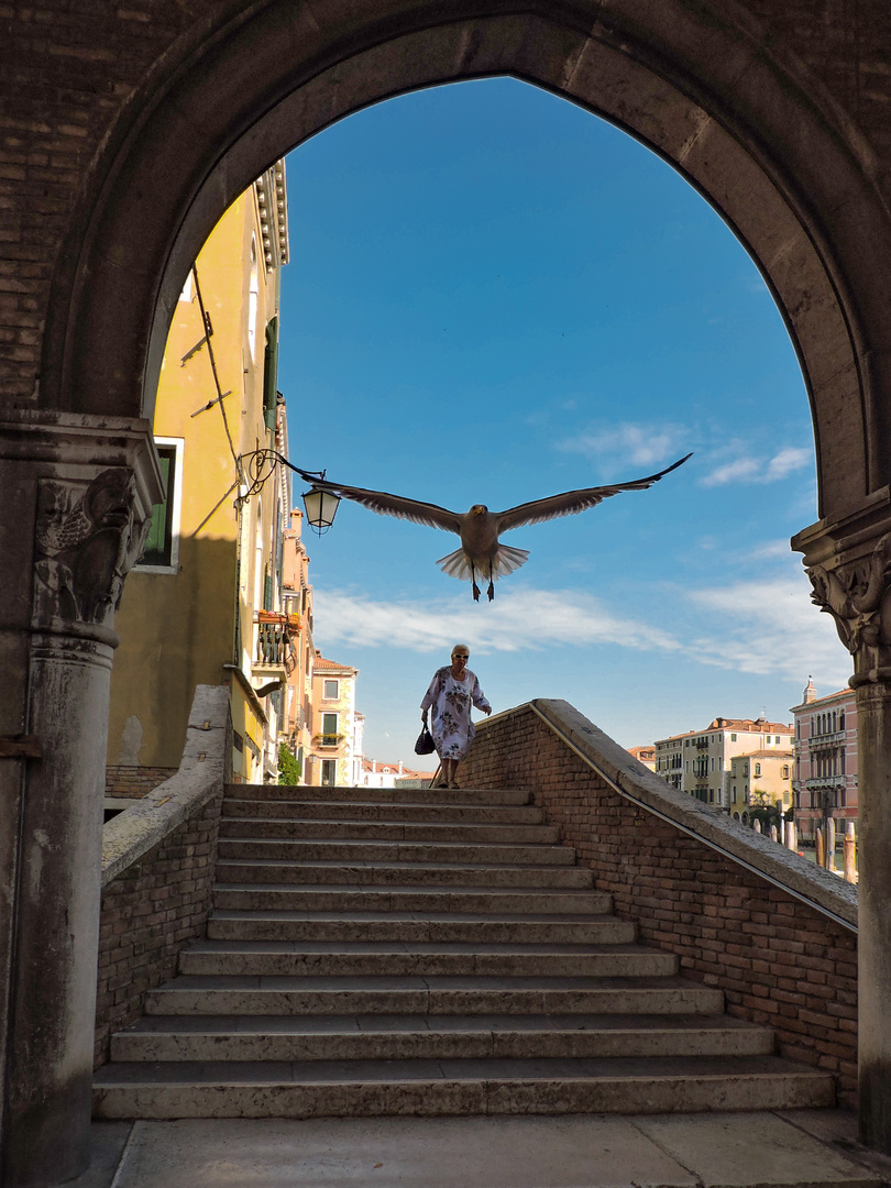 Domingo en Venezia