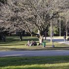 DOMINGO HERMOSO EN EL PARQUE