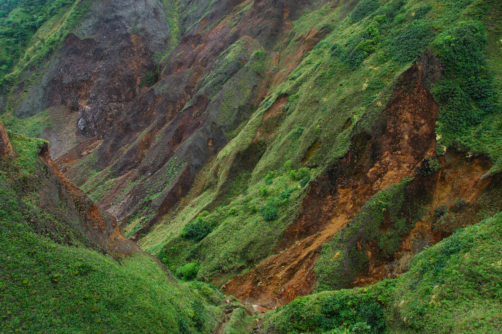 Dominica