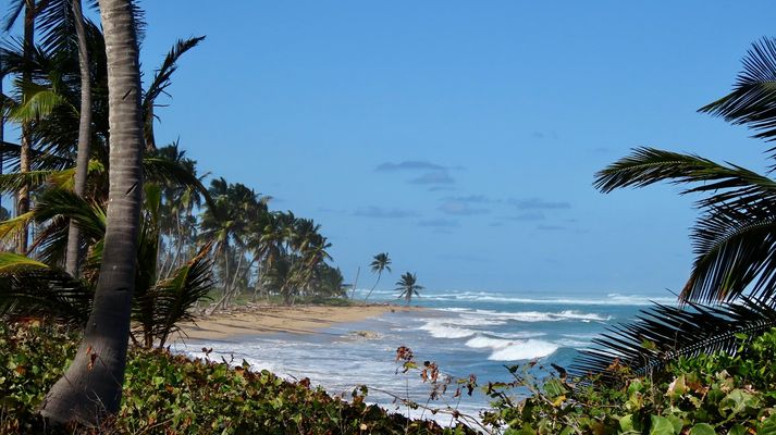 Dominican Republic (2022), Playa La Vacama