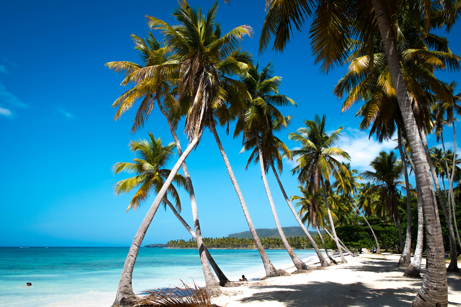 Dominican Republic | Las Galeras Beach