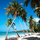 Dominican Republic | Las Galeras Beach