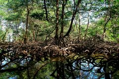 Dominikanische Republik - Nationalpark Los Haitises