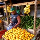 Dominikanische Republik Tienda en el campo.