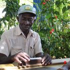 Domino spielen im Park - Cuba 2018