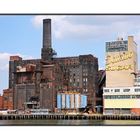 Domino Sugar