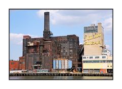 Domino Sugar