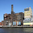 Domino Sugar