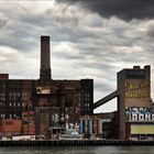 Domino Sugar