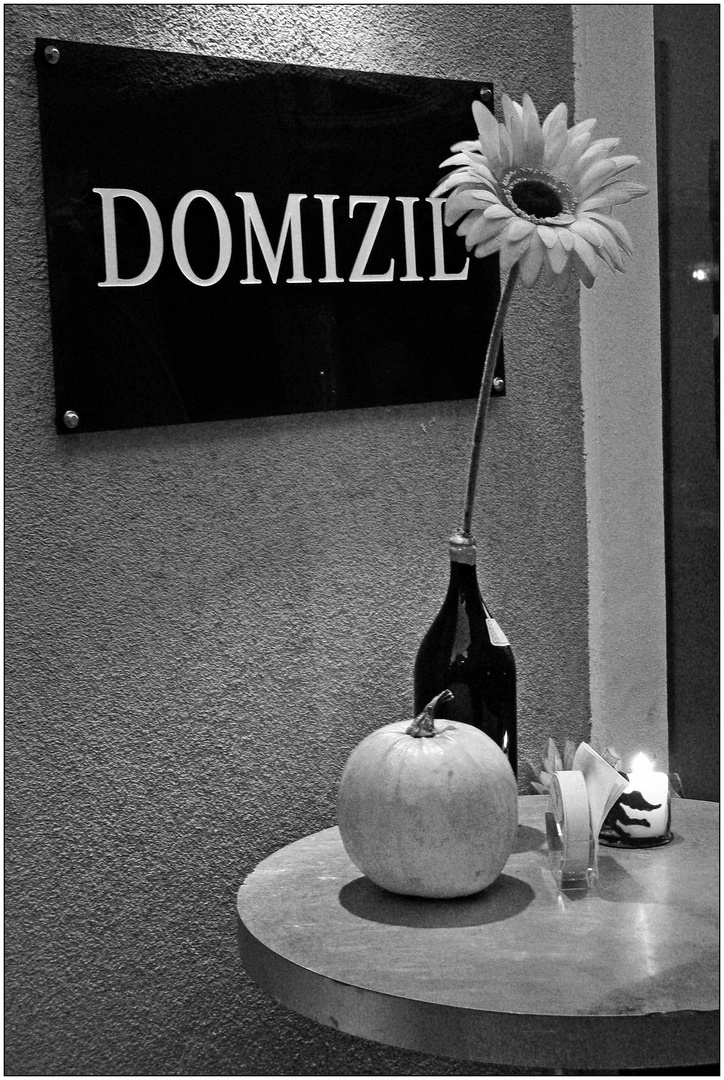 Domizil 