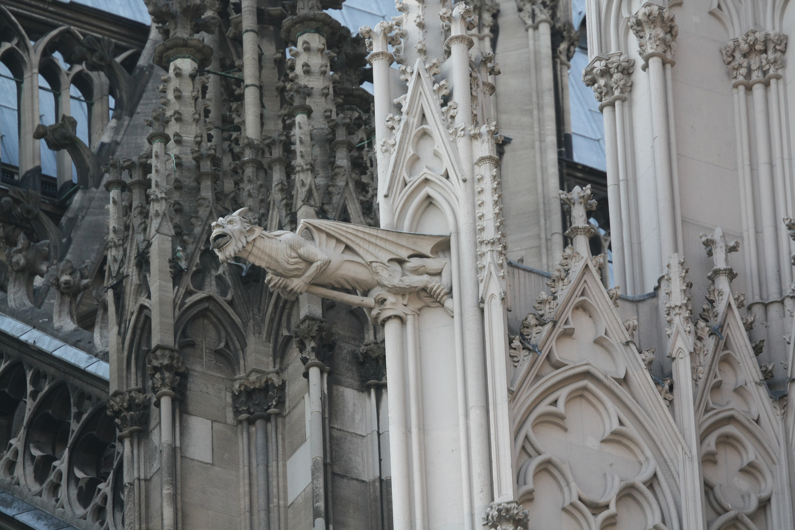 Domkirche St. Peter und Maria in Köln - Speier 1