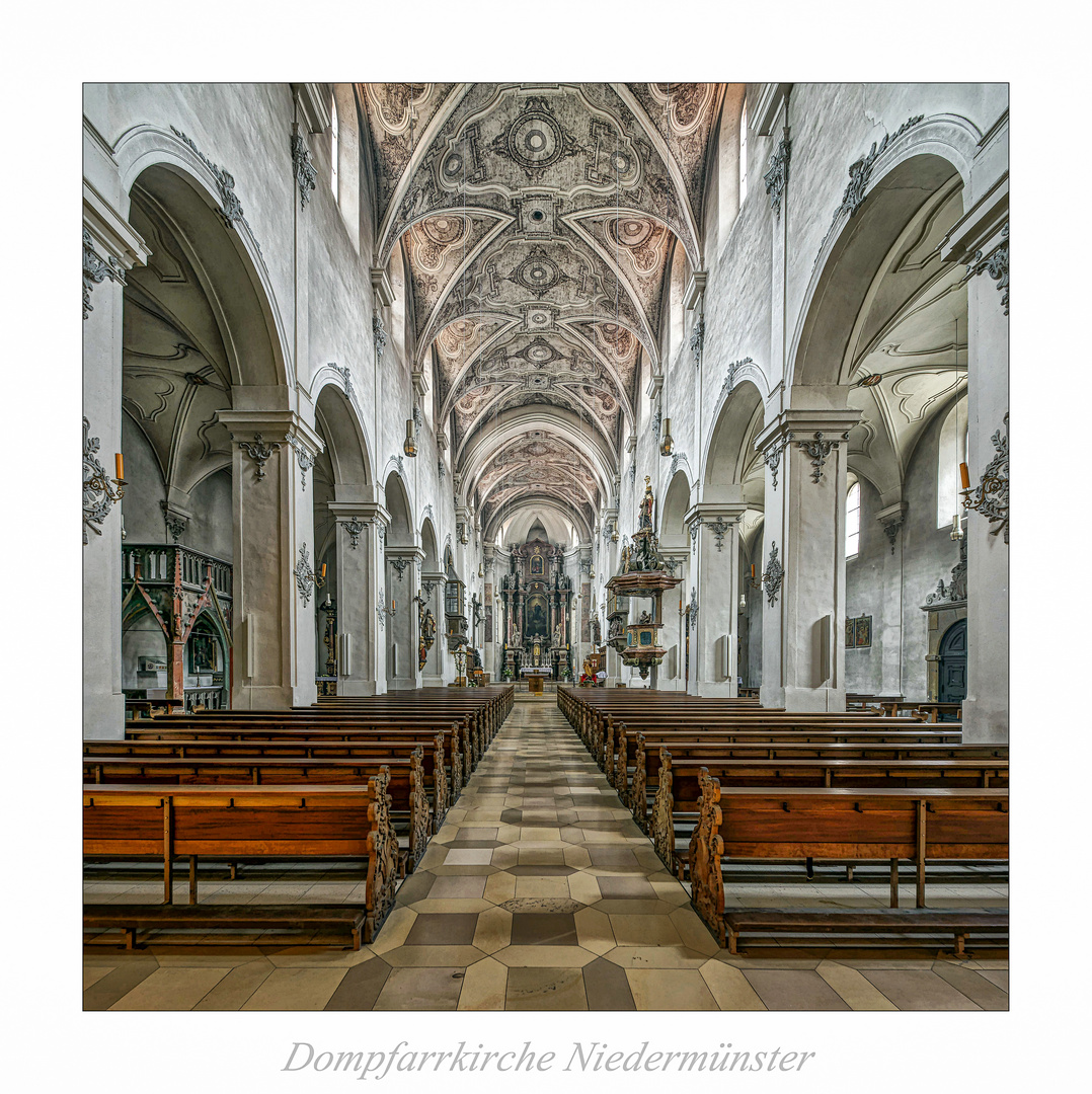 Dompfarrkirche Niedermünster - Regensburg " Gott zu Gefallen ..."