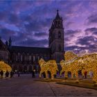 Domplatz in der Vorweihnachtszeit