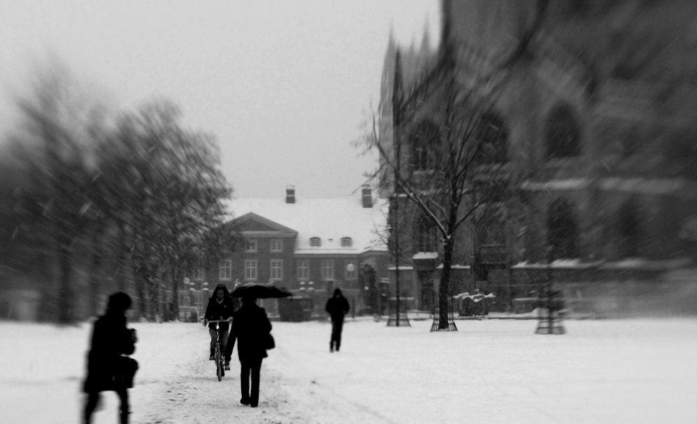 domplatz münster