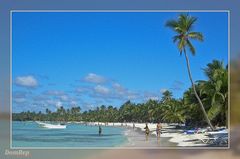 DomRep - Saona Postcard