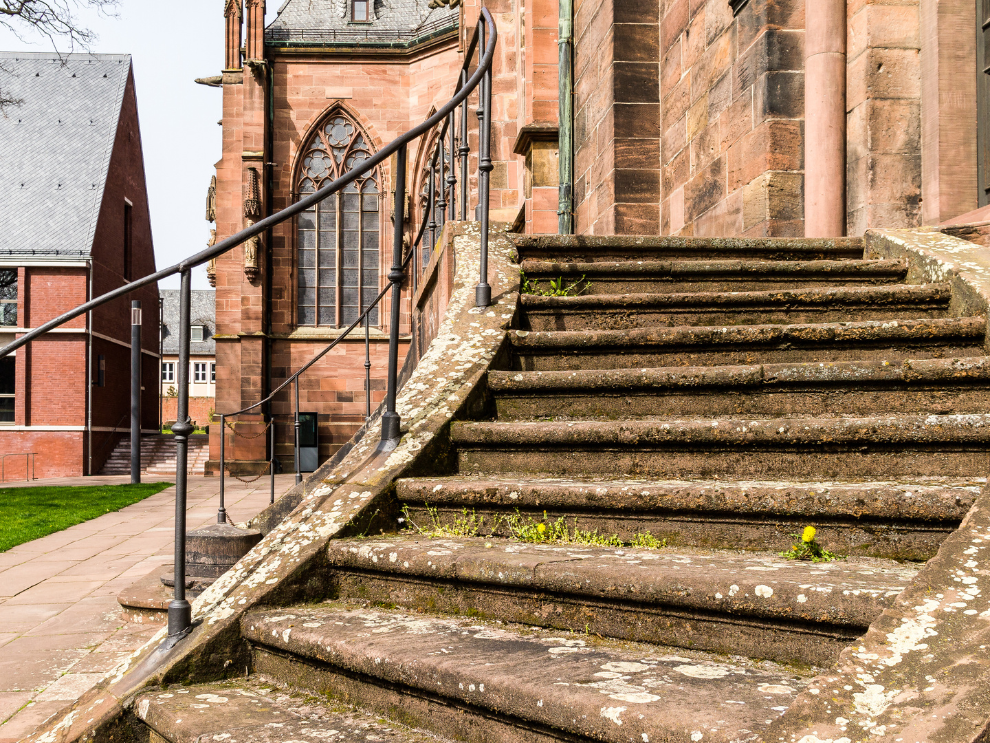 Domtreppe Löwenzahn