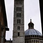 Domturm von Siena