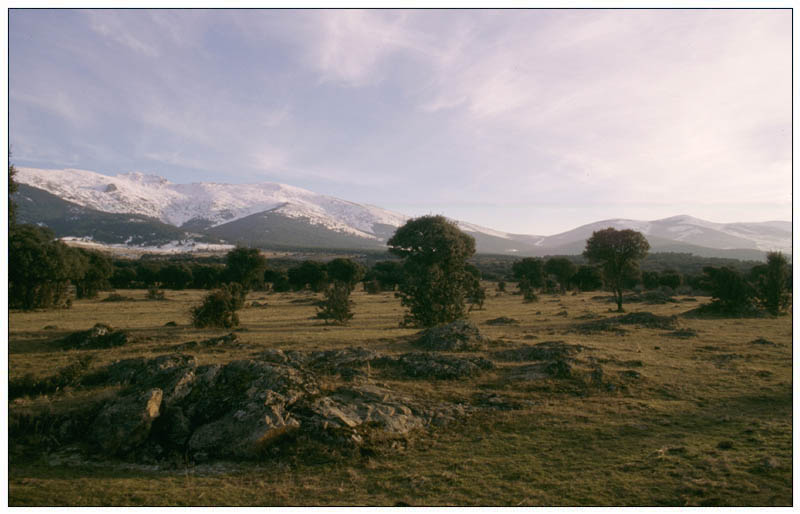 Don Quijote's Mancha in winter