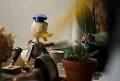 Donald