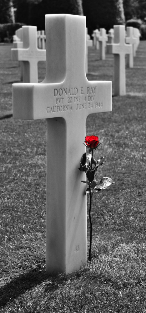 Donald E. Ray... Cemetiere Americain