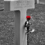 Donald E. Ray... Cemetiere Americain