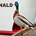 Donald