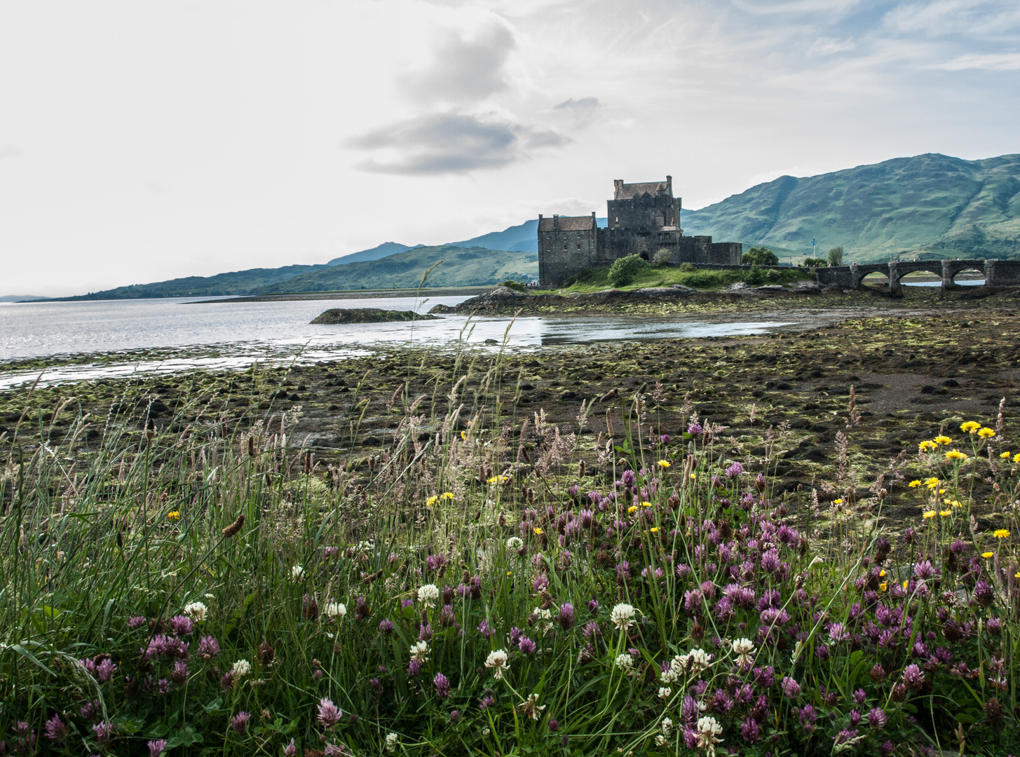 donan castle