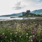 donan castle