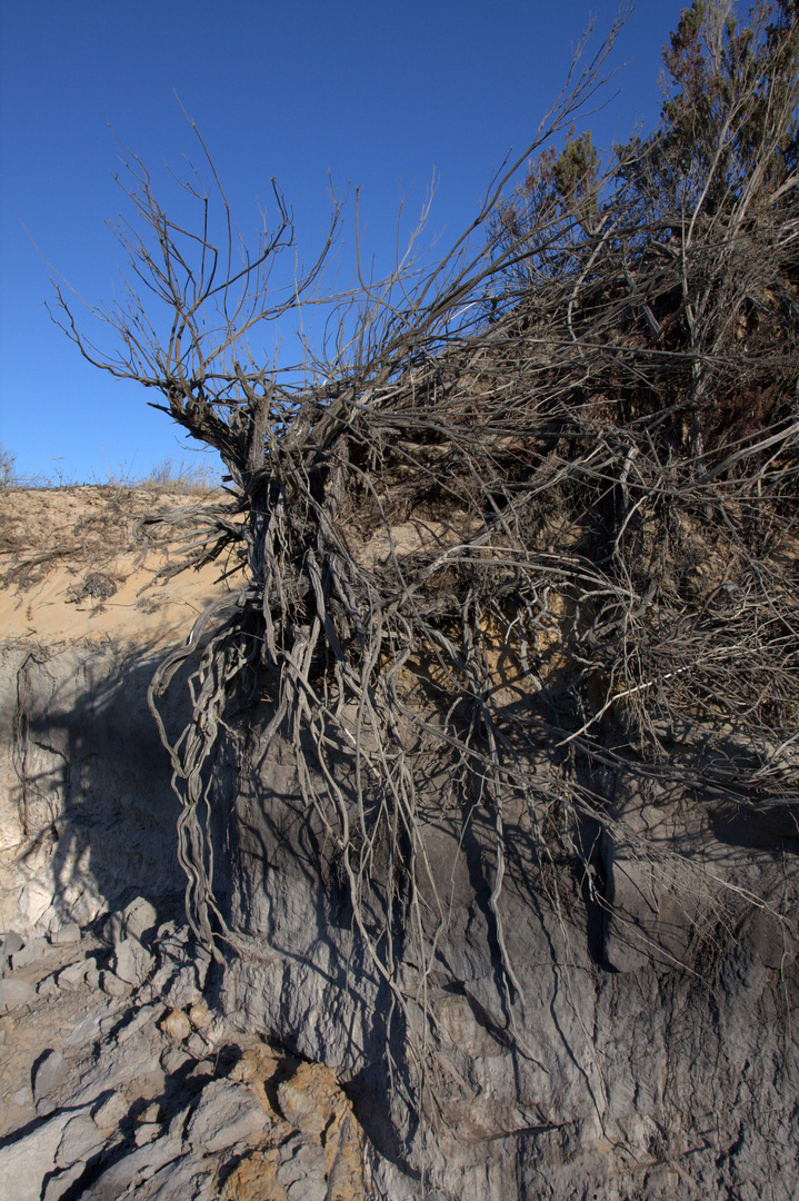 Donana Nationalpark