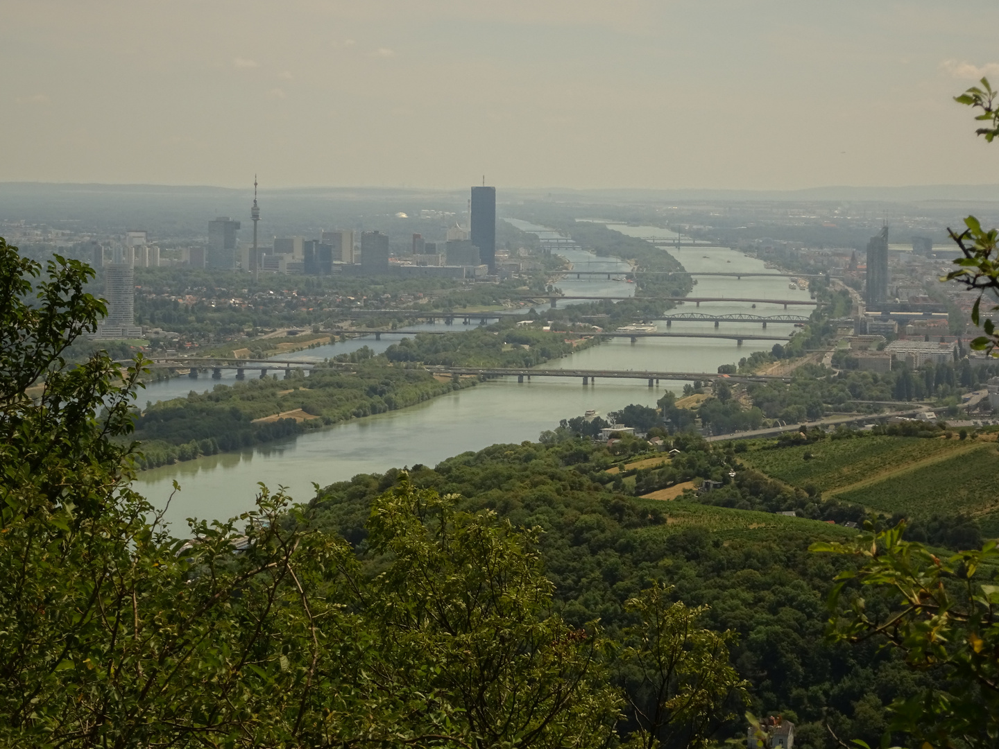 Donau