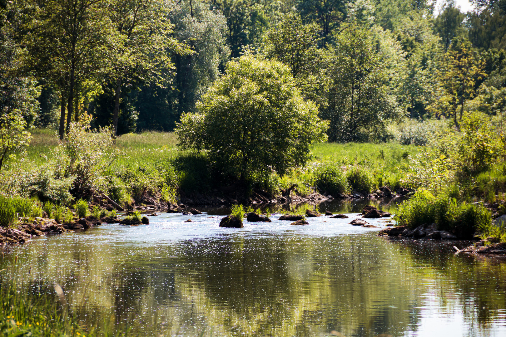 Donau