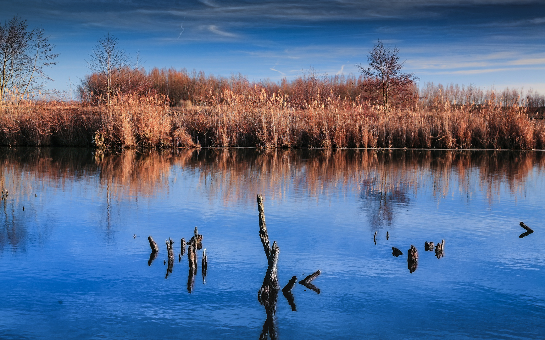 Donau Altwasser