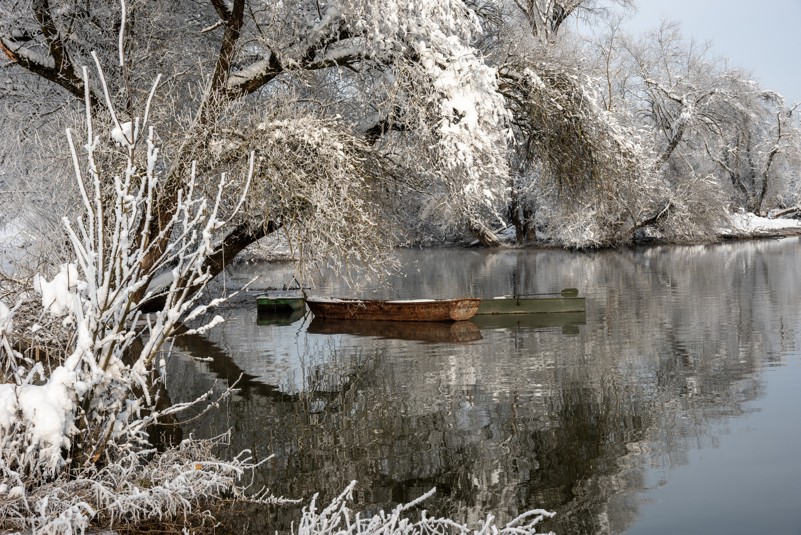 Donau-Altwasser mit Booten