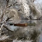 Donau-Altwasser mit Booten