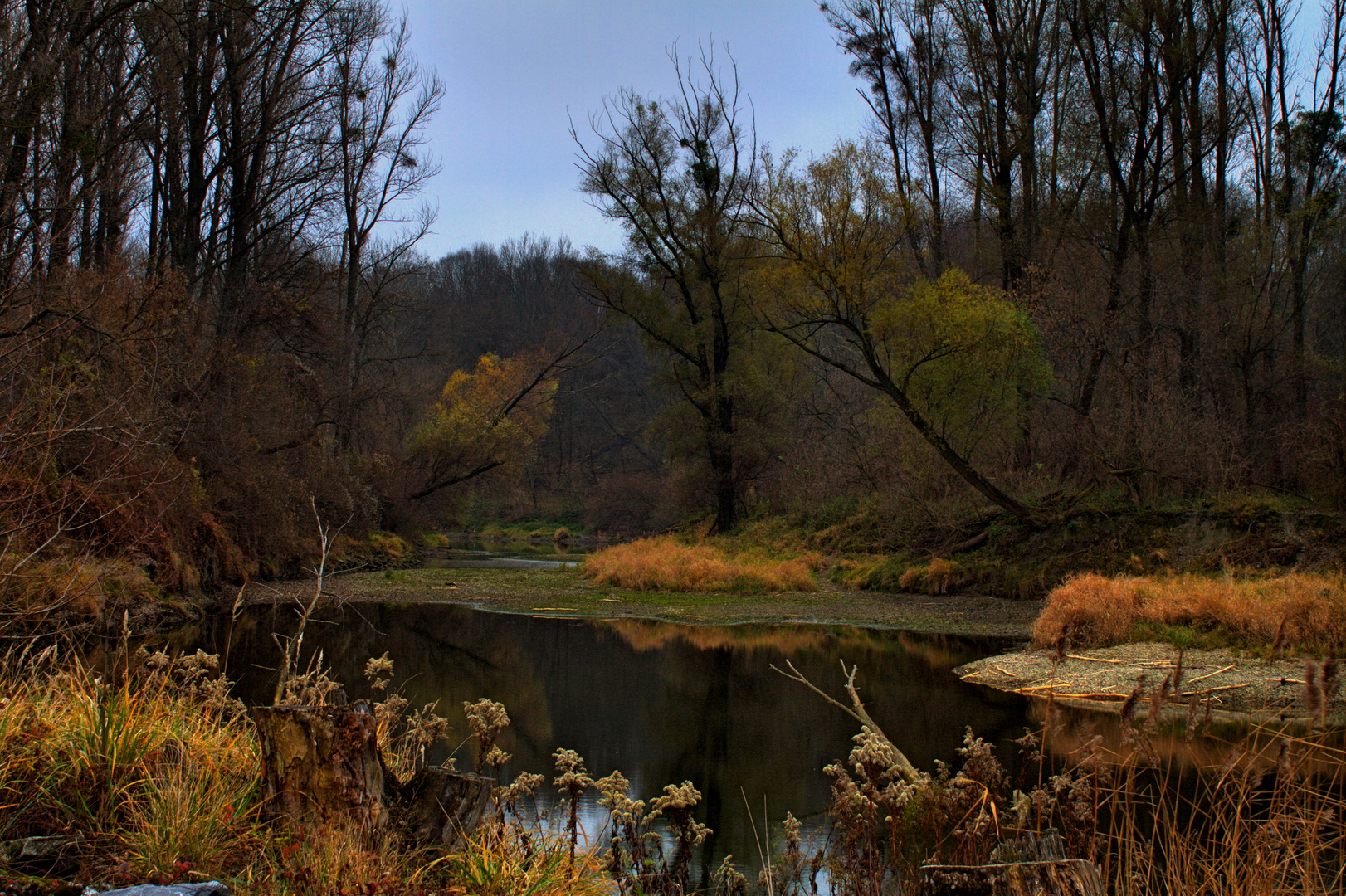 Donau Au Maria Ellend - Haslau