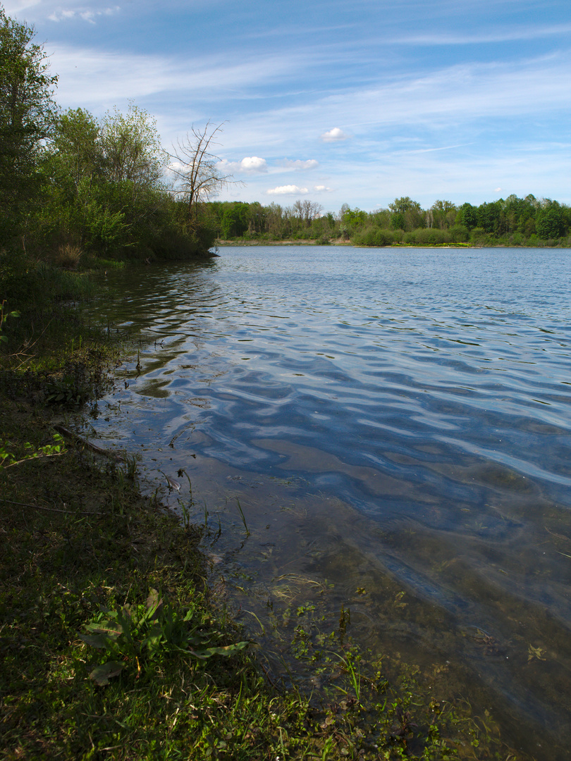 Donau-Auen 2