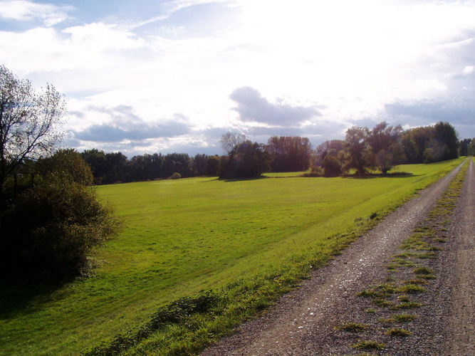 Donau Auen