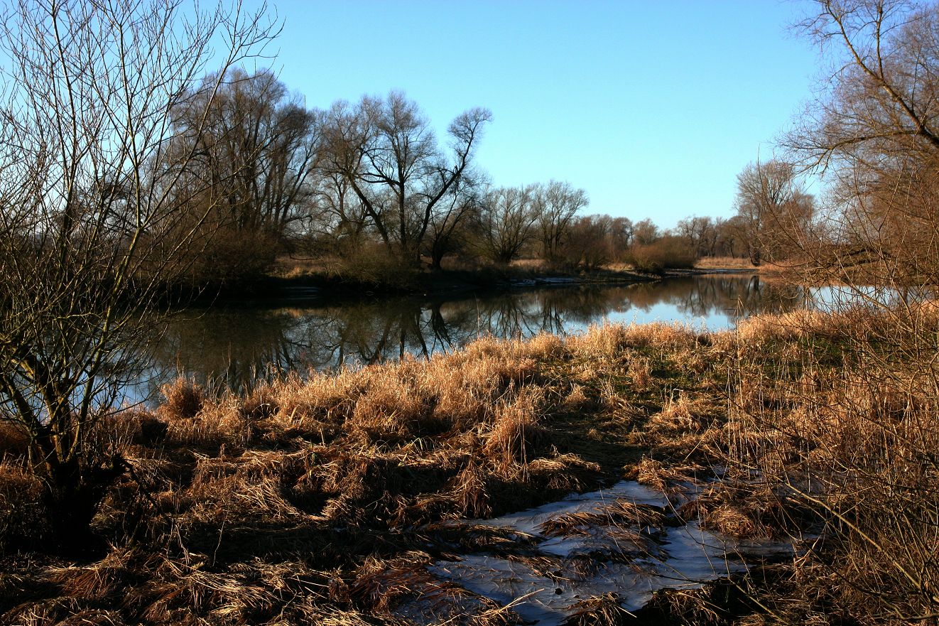 Donau-Auen bei Hofkirchen