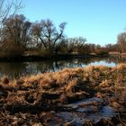 Donau-Auen bei Hofkirchen