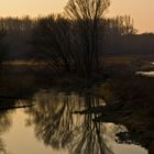 Donau-Auen Sundown